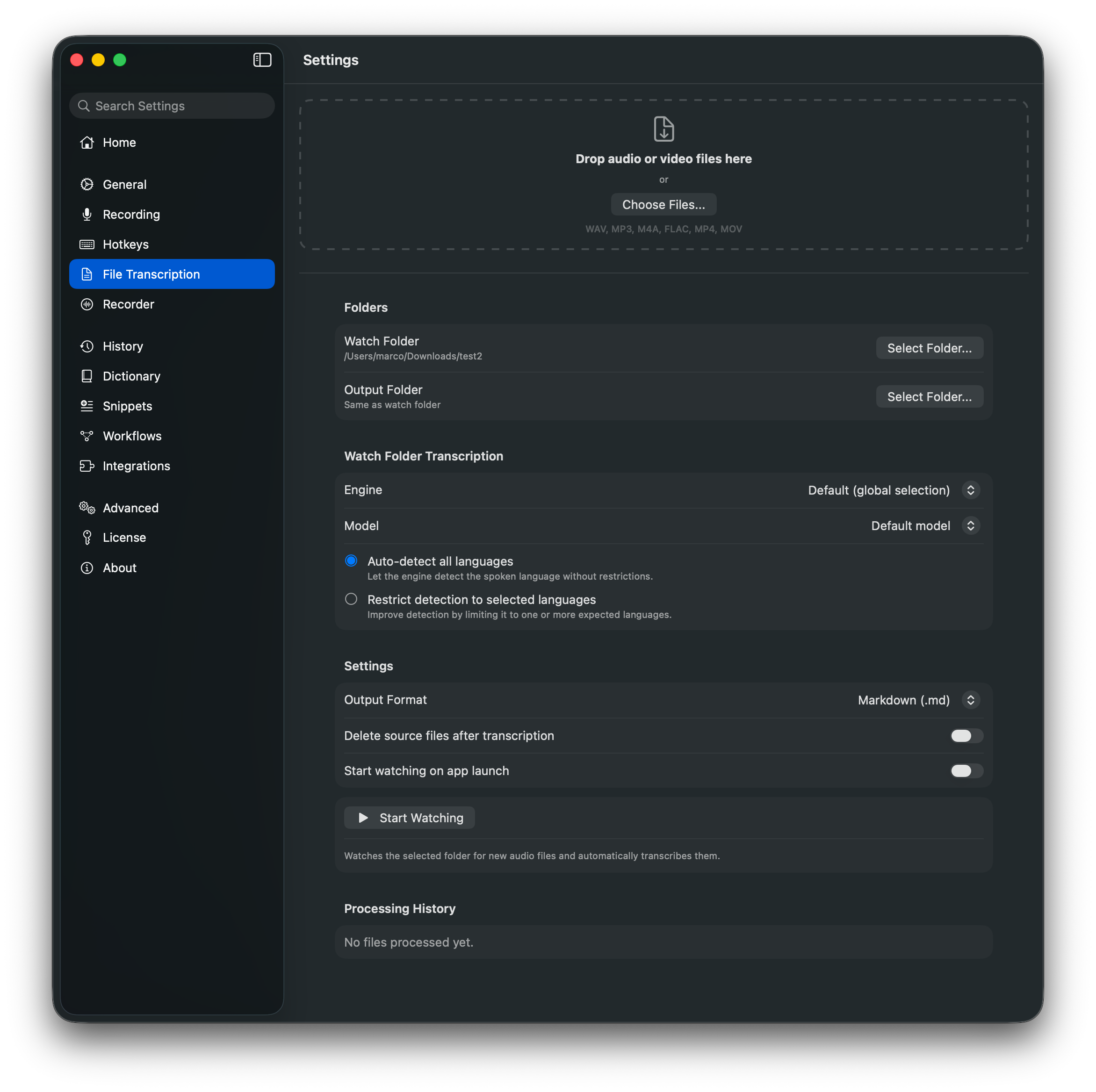 File Transcription settings with folder selection, transcription settings, output format, and source file deletion toggle
